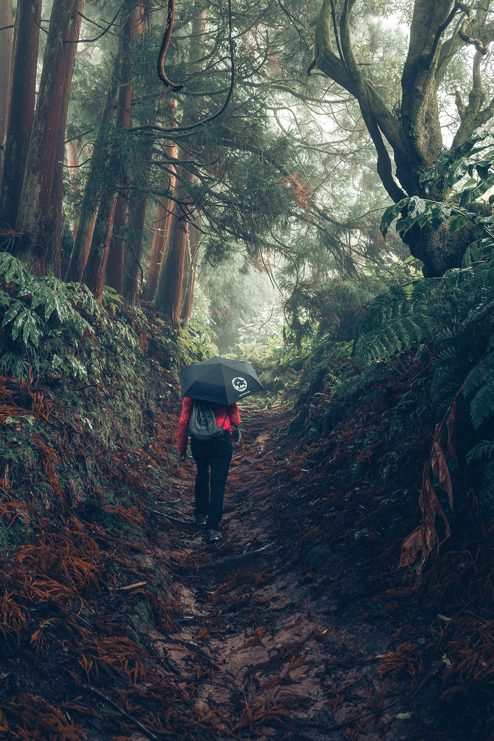 Fotografija u šumi na kojoj je izletnik u crvenoj jakni s PREFA kišobranom i torbom za vježbanje, simbolizira PREFA zaštitu okoliša i održivost te kružno gospodarstvo i recikliranje.