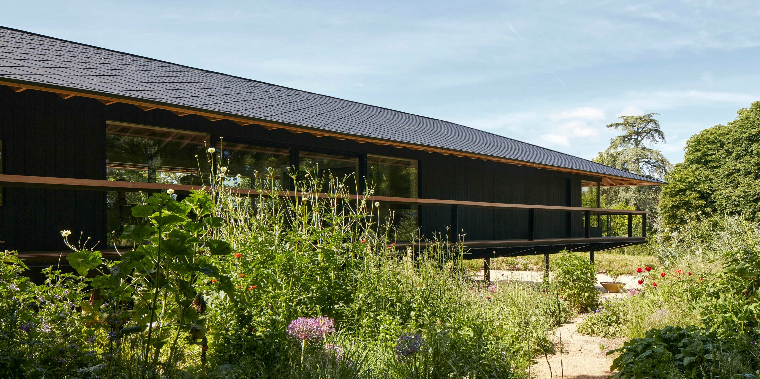 Ein Wohnprojekt mit PREFA Dachraute 44x44 in anthrazit in der Nähe Cirencester, UK, designed by Hamish & Lyons